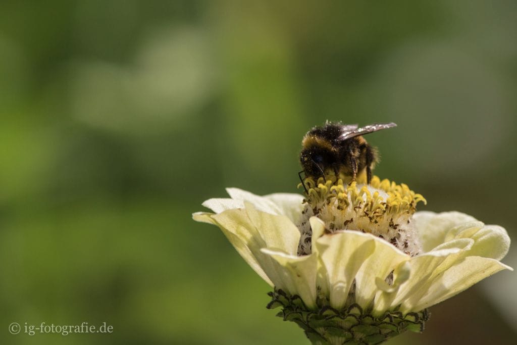 bildaufbau-fotografieren-lernen-11