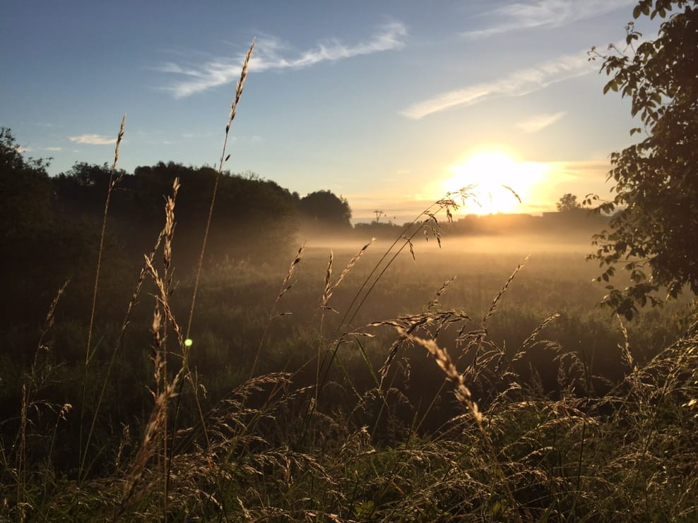 landschaftsfotografie-smartphone